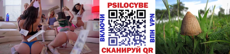 купить наркотики цена  Сибай  Галлюциногенные грибы Cubensis 