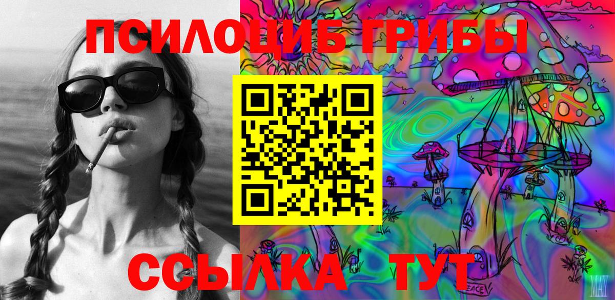 Сибай  Псилоцибиновые грибы GOLDEN TEACHER  Вход с VPN  Псилоцибиновые грибы прущие грибы 